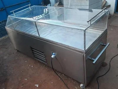 Dead body freezer box